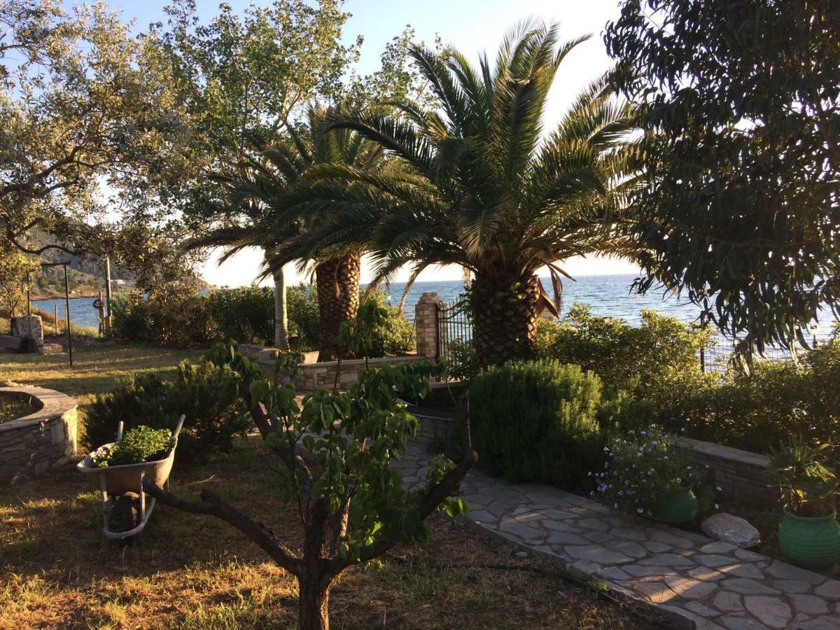 Front Beach House Skála Kallirákhis 外观 照片